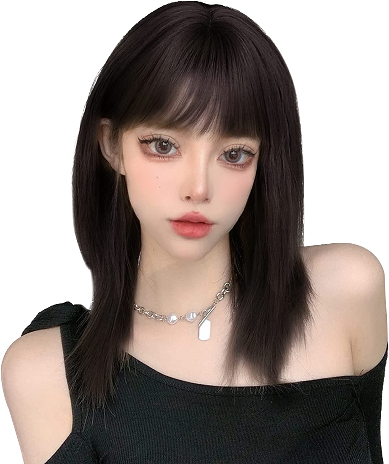 FESHFEN ウィッグ セミロング ストレート かつら フルウィッグ ミディアム 女性 うぃっぐ レディース ナチュラル wig 女装 ぱっつん カツラ ファッション 小顔 自然 普段使い