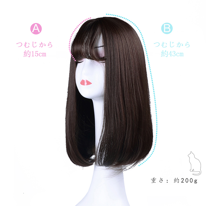 FESHFEN ウィッグ かつら ミディアム セミロング フルウィッグ ウィッグ ロング レディース wig ストレート 自然 医療用 小顔効果 ネット付き 耐熱 チョコブラウン